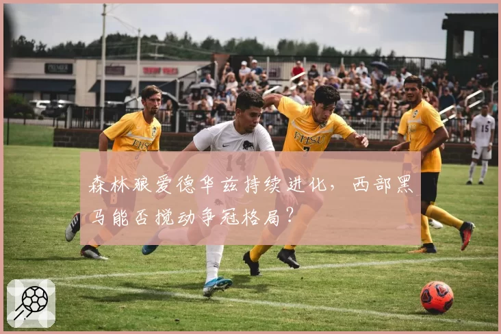 森林狼爱德华兹持续进化,西部黑马能否搅动争冠格局?