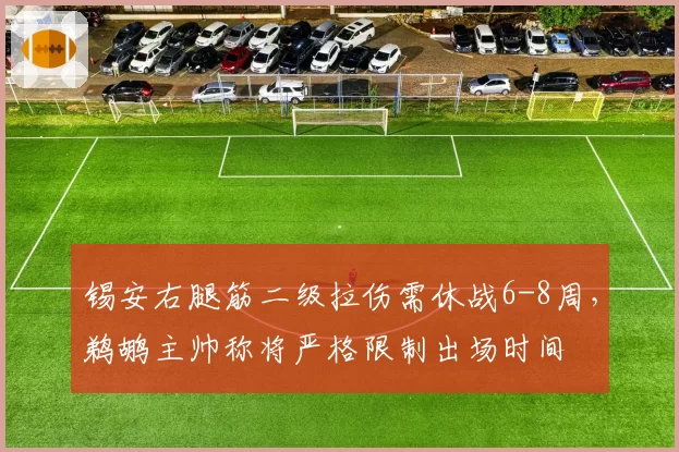 锡安右腿筋二级拉伤需休战6-8周，鹈鹕主帅称将严格限制出场时间