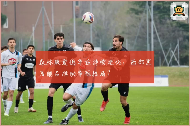森林狼爱德华兹持续进化，西部黑马能否搅动争冠格局？