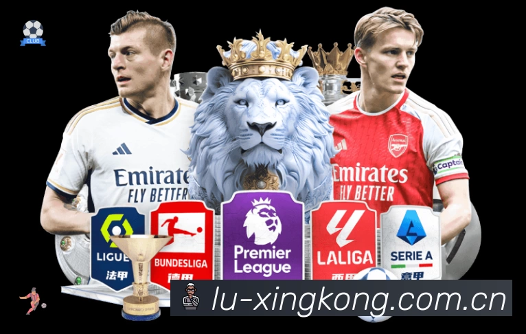 XINGKONG平台展示